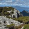 Hiker standing on exposed granite ridge at strzelecki peaks, flinders island, overlooking remote coastal terrain in tasmania.