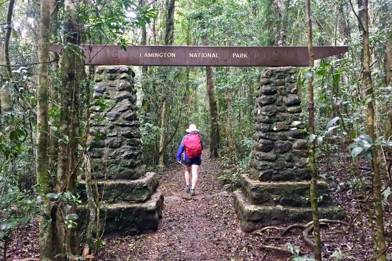Lamington national park trail entrance with a hiker walking into dense rainforest