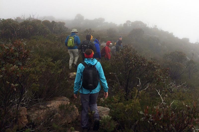 Group of hikers continuing along a misty alpine track despite fading visibility and time pressure, illustrating the decision to push on after passing a planned turnaround point