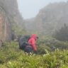 Hiker in red jacket moving through misty rocky terrain in australia