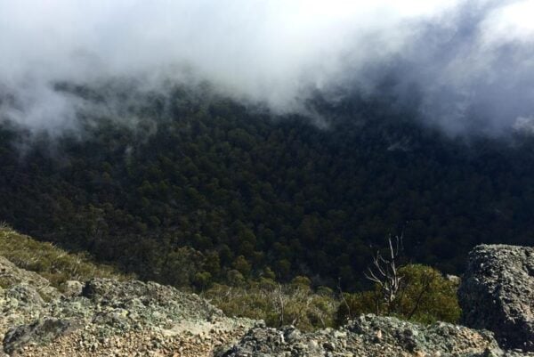 Low cloud and fog rolling over an exposed alpine ridge in the victorian high country, reducing visibility and signalling deteriorating weather conditions