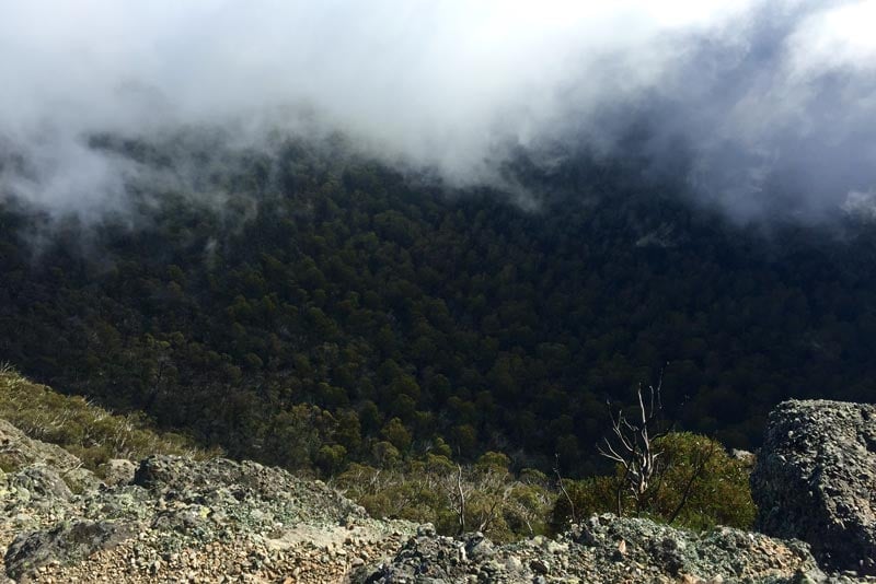Low cloud and fog rolling over an exposed alpine ridge in the victorian high country, reducing visibility and signalling deteriorating weather conditions