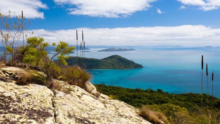 Whitsunday Peak Track Whitsunday Islands National Park, Queensland Whitsunday peak track whitsunday islands national park, queensland