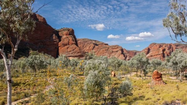 Bloodwoods Lookout, Purnululu National Park, Western Australia Bloodwoods lookout, purnululu national park, western australia