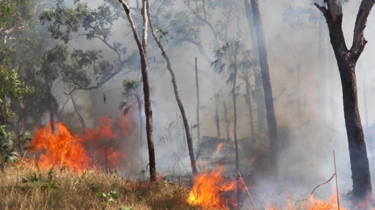Bushfire smoke and air quality: a hiking decision guide
