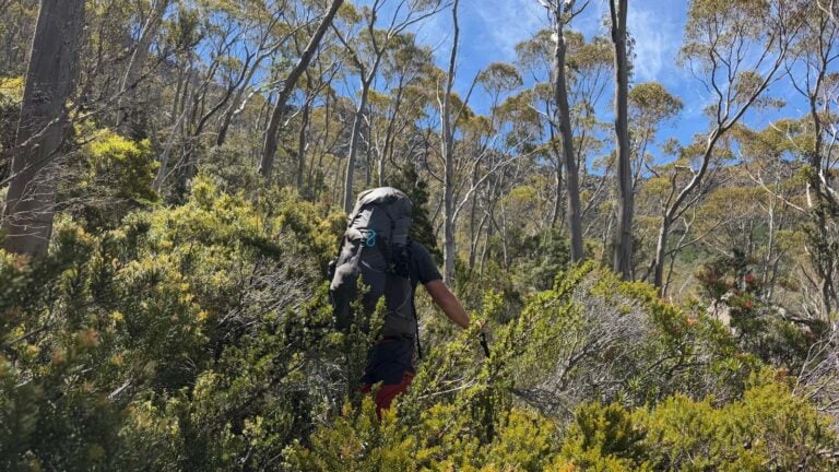 Most hiking incidents don’t start with a mistake