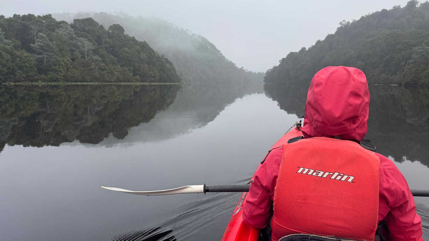 Person kayaking through still, mist-covered waters on the pieman river in tasmania’s takayna/tarkine wilderness.