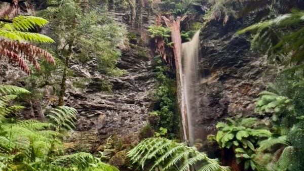 Lovers Falls Paddle and Hike Lovers falls paddle and hike