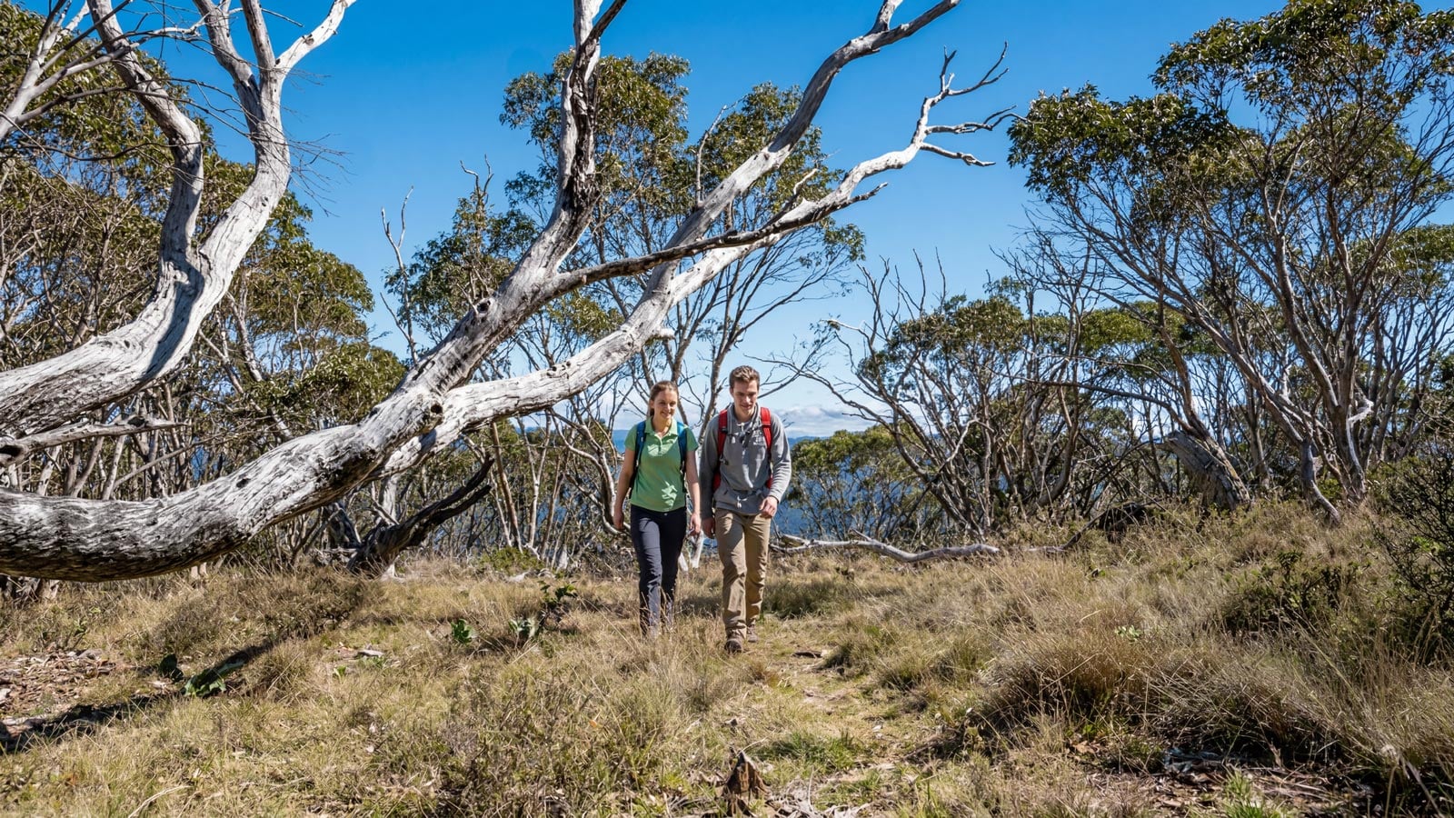 Mindjagari track banggu loop, tidbinbilla nature reserve, act