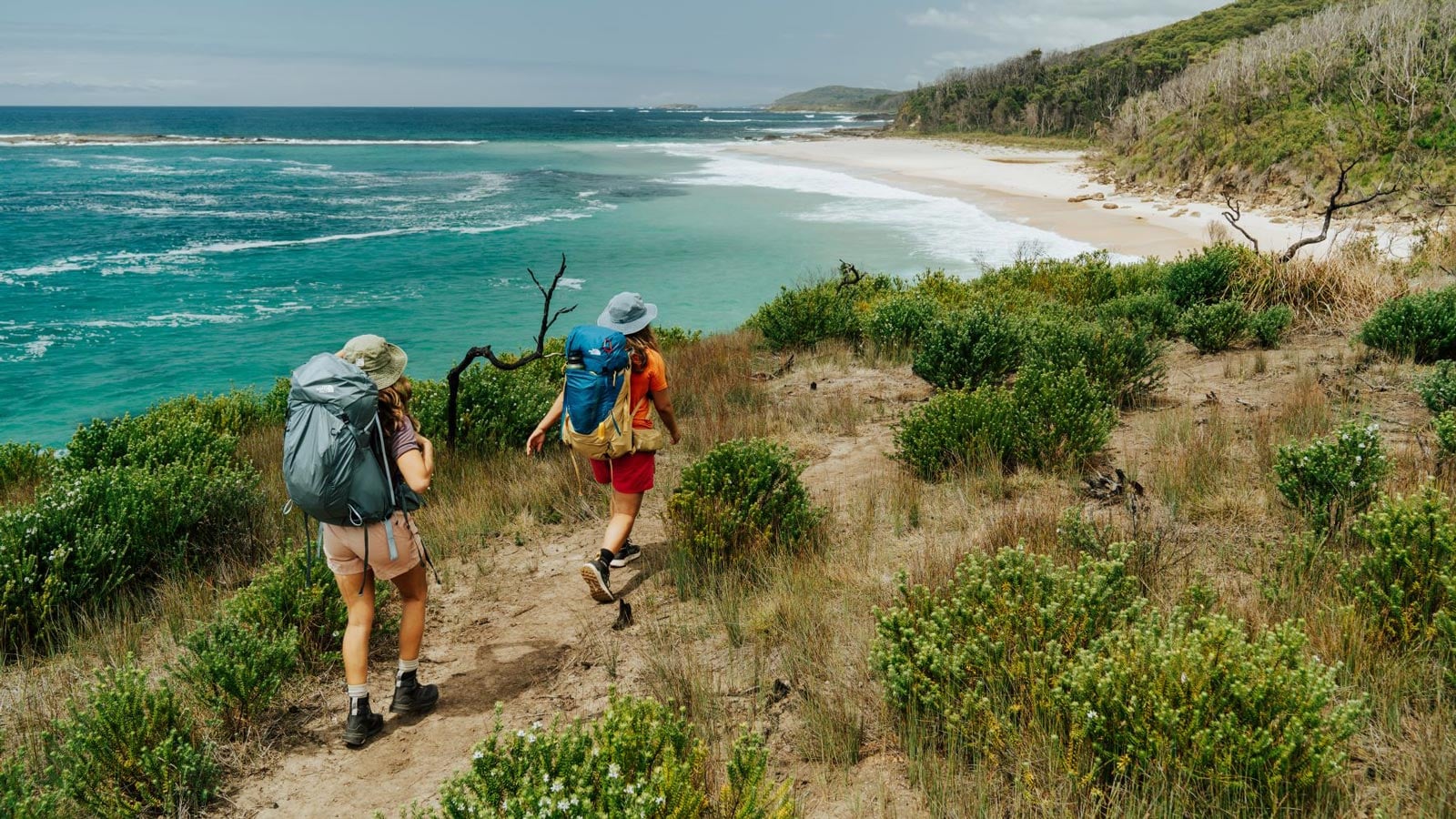 The Hiker's Guide to Whale Watching in NSW Two hikers with backpacks descending toward a secluded beach on the murramarang south coast walk, murramarang national park