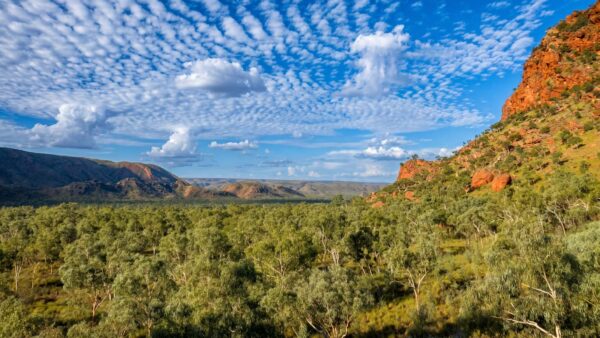 Osmand Lookout Walk, Purnululu National Park, Western Australia Osmand lookout walk, purnululu national park, western australia