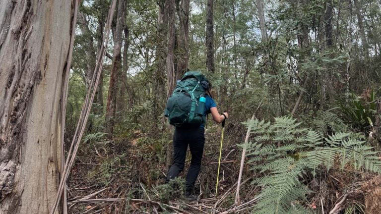 The same-same effect in australian bush