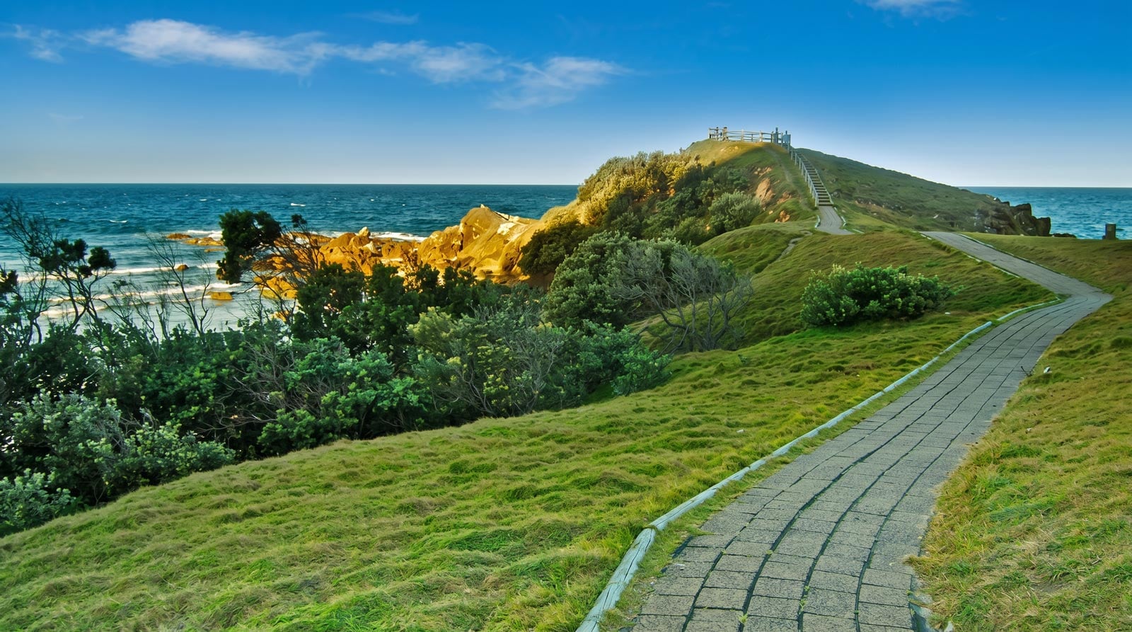 The Hiker's Guide to Whale Watching in NSW Paved path leading to a clifftop lookout on the walgun cape byron walking track, byron bay