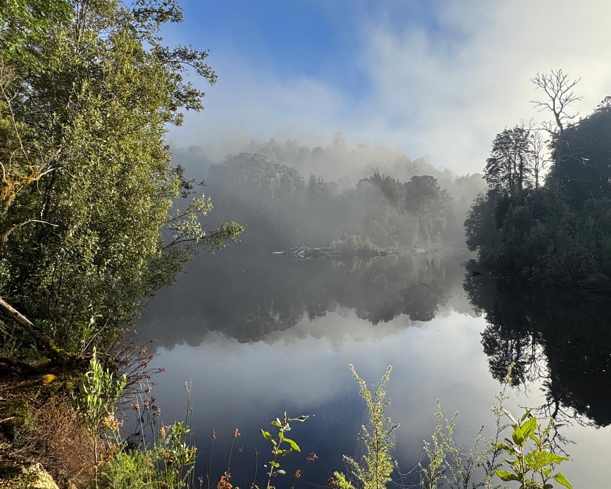 Morning mist reflecting across the still waters of the whyte river near corinna in tasmania’s tarkine wilderness.