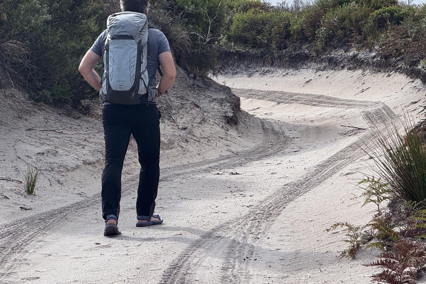 Rear view of a hiker with a grey osprey backpack walking down a wide, sandy trail through coastal scrub wearing zorali sandals.