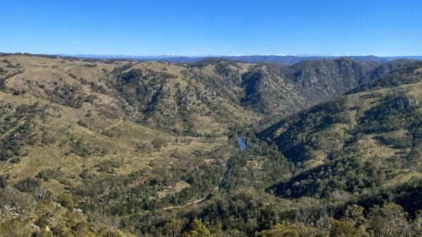 Baldy billy peak walking track