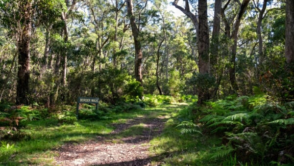 Border walk (14km)
