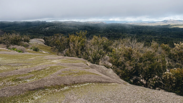 Little bald rock walking track (6. 5km)