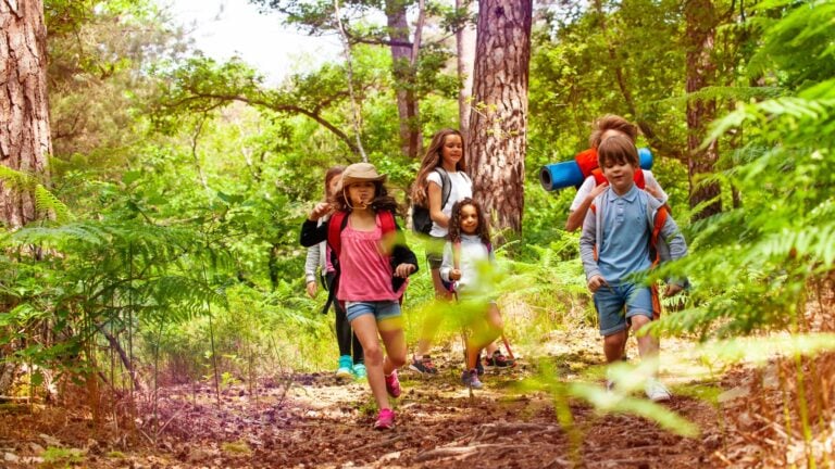 Junior ranger and nature programs for kids across australia
