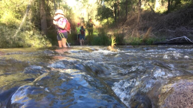 Cold water shock and the gasp reflex