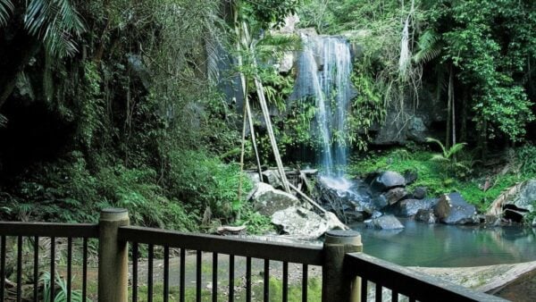 Curtis falls track (1. 1km)