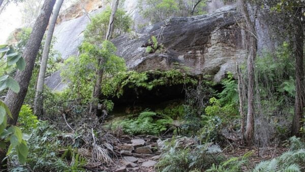 Dripping rock and the overhang walk (3. 2km)