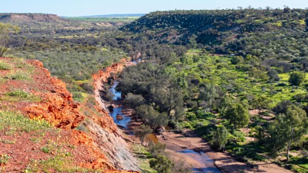 Plateau loop trail, coalseam conservation park
