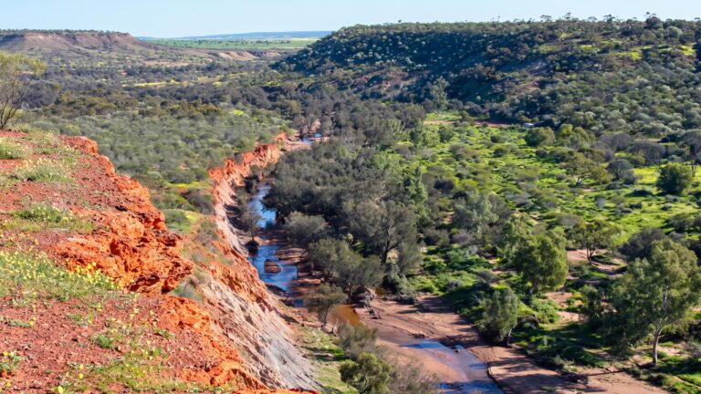 Plateau Loop Trail, Coalseam Conservation Park Plateau loop trail, coalseam conservation park