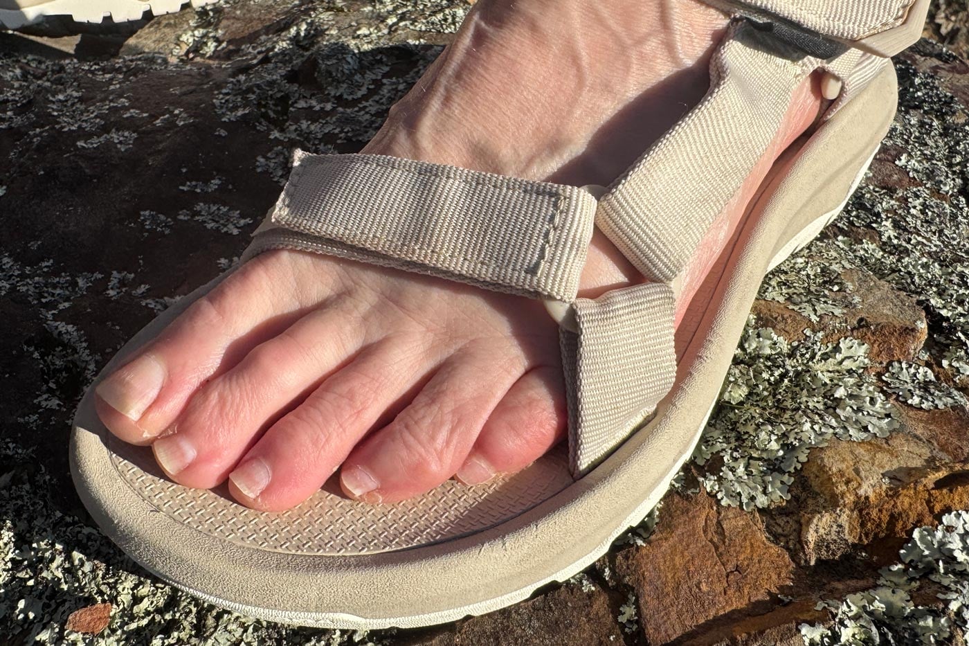 Teva Women's Hurricane XLT3 Sandal Review Close-up of a foot wearing a strappy sandal with adjustable webbing straps, standing on lichen-covered rock