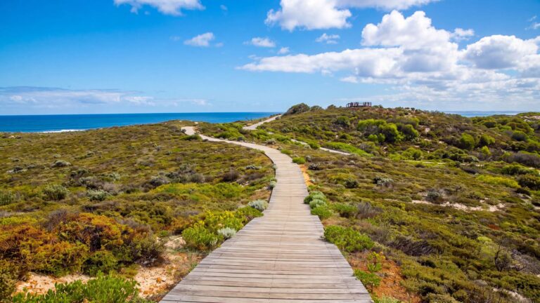 Three bays walkway (2. 8km)