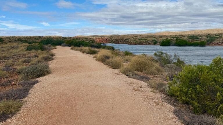 Yardie nature walk