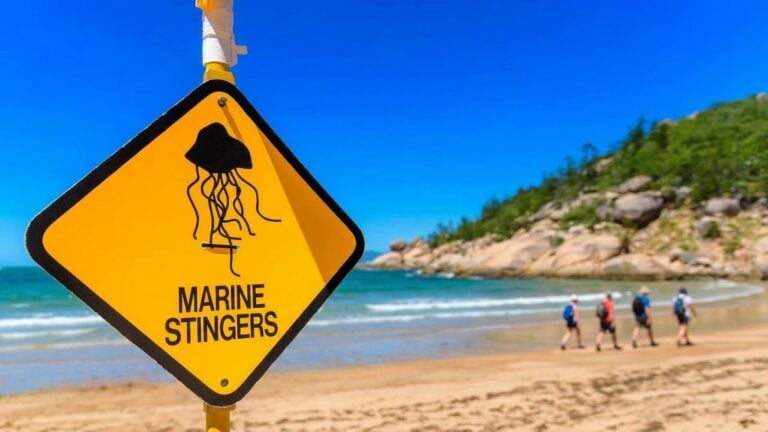 Marine hazards for hikers on the australian coast