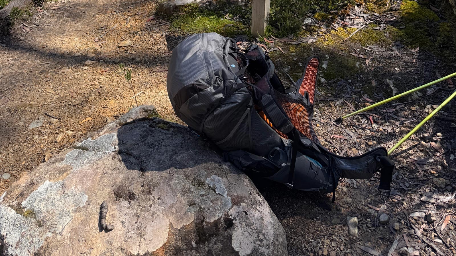How to Keep Your Gear and Vehicle Secure While Hiking Grey osprey hiking backpack resting on a rock beside a bush trail, with trekking poles nearby