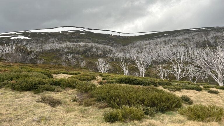 Mount nelse huts walk