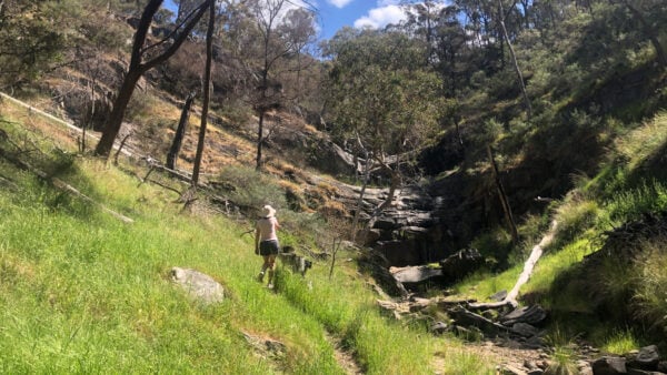 Valley Walk (Avoca Waterfall Walk) Valley walk (avoca waterfall walk)