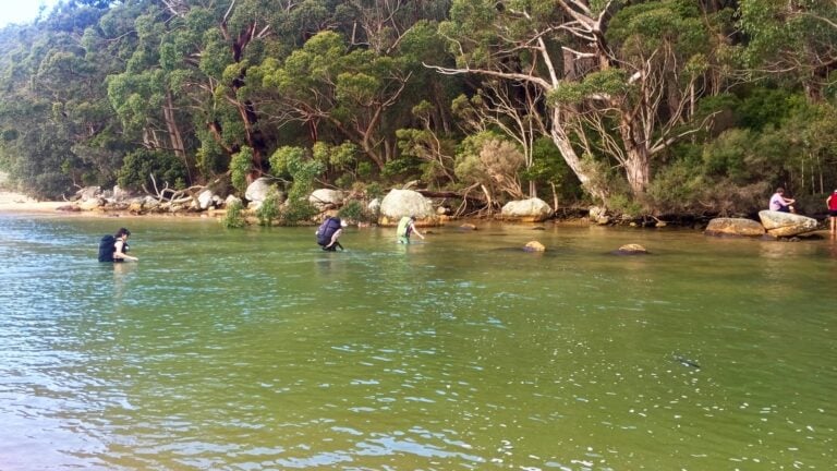 Water hazards while hiking in australia